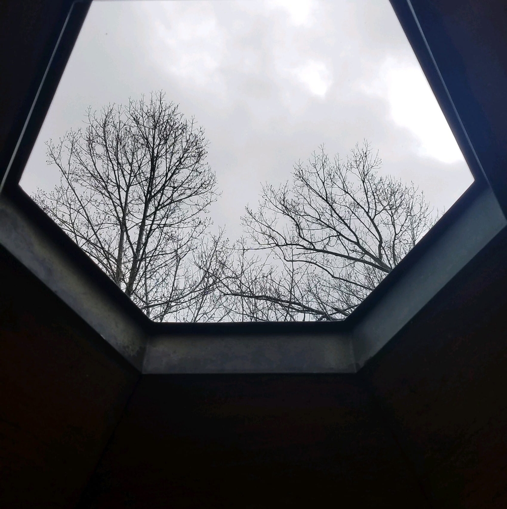 Meet your Posher, Dawn